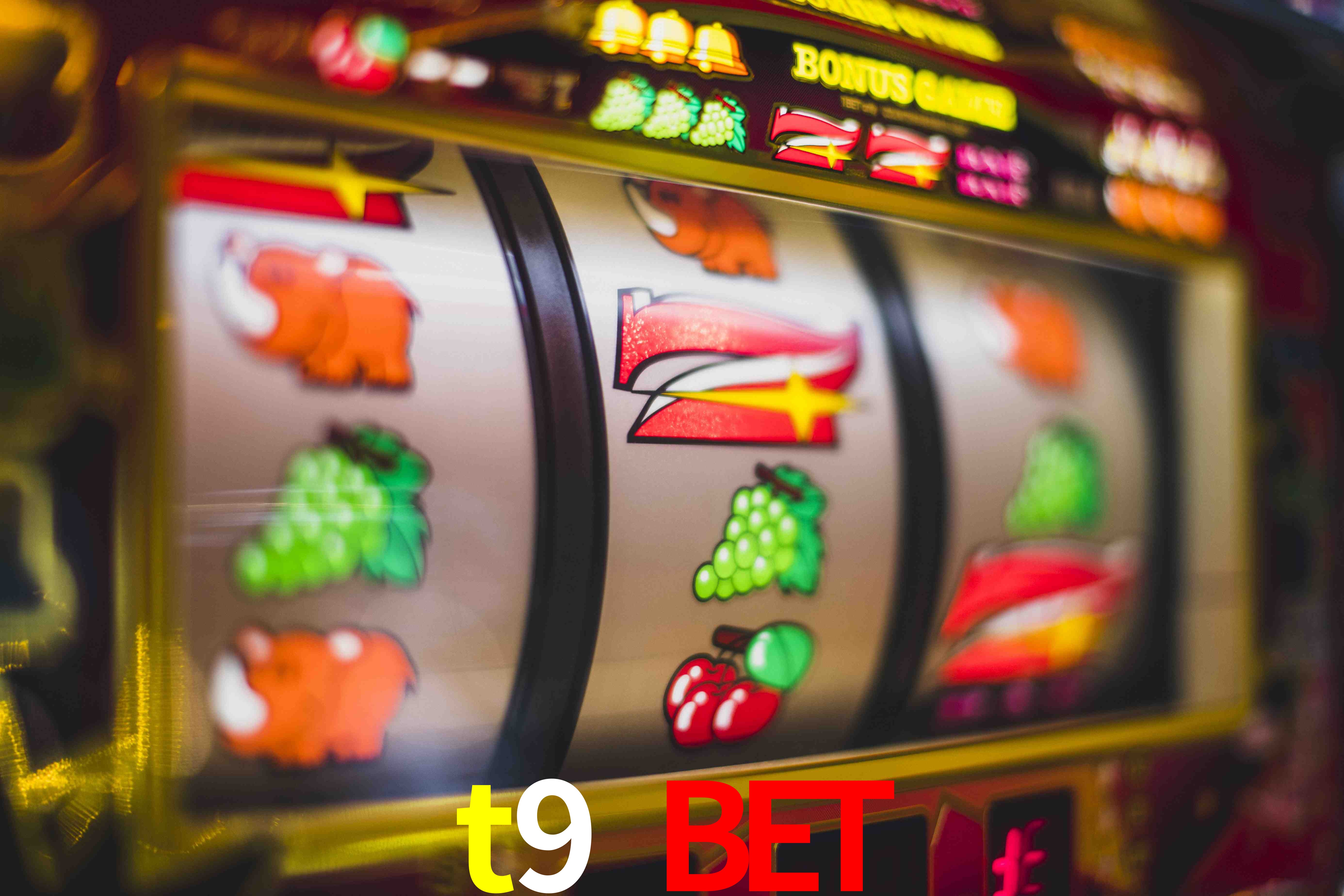 Basketball Betting t9 bet